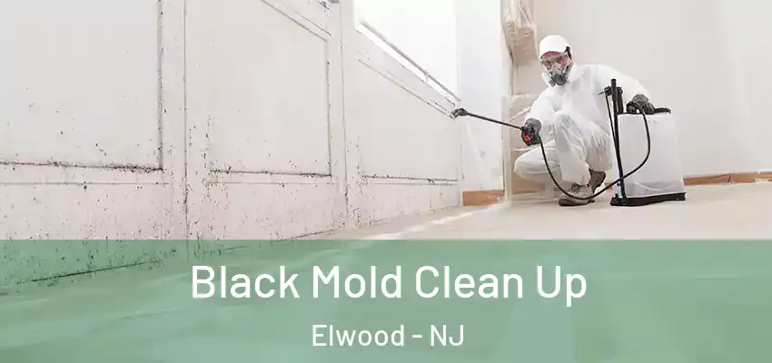  Black Mold Clean Up Elwood - NJ