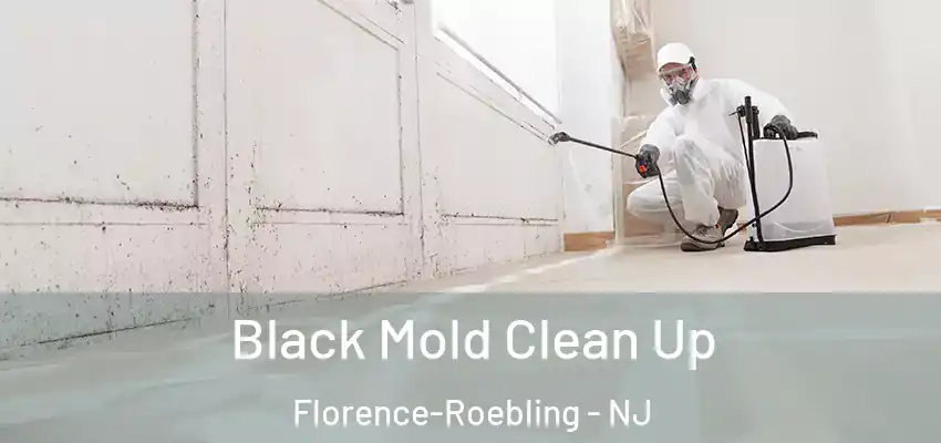 Black Mold Clean Up Florence-Roebling - NJ