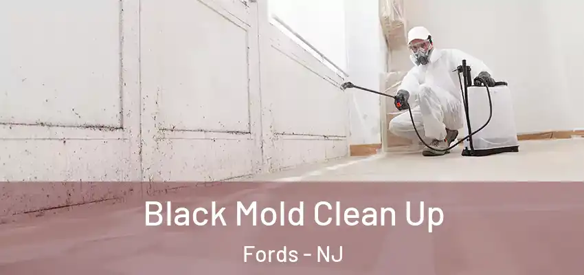 Black Mold Clean Up Fords - NJ