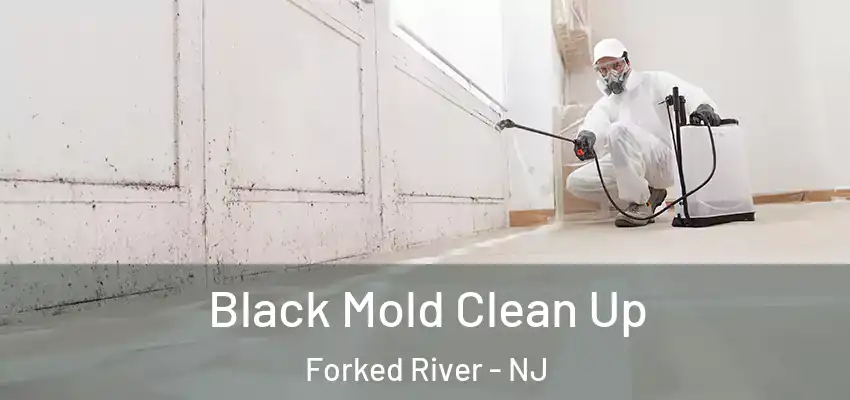 Black Mold Clean Up Forked River - NJ