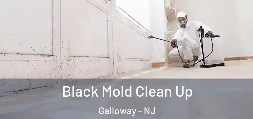 Black Mold Clean Up Galloway - NJ