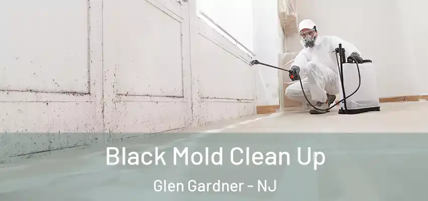 Black Mold Clean Up Glen Gardner - NJ
