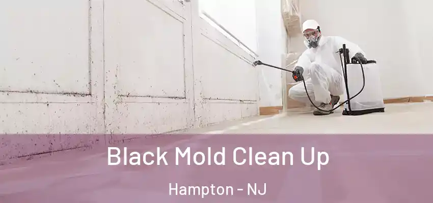 Black Mold Clean Up Hampton - NJ