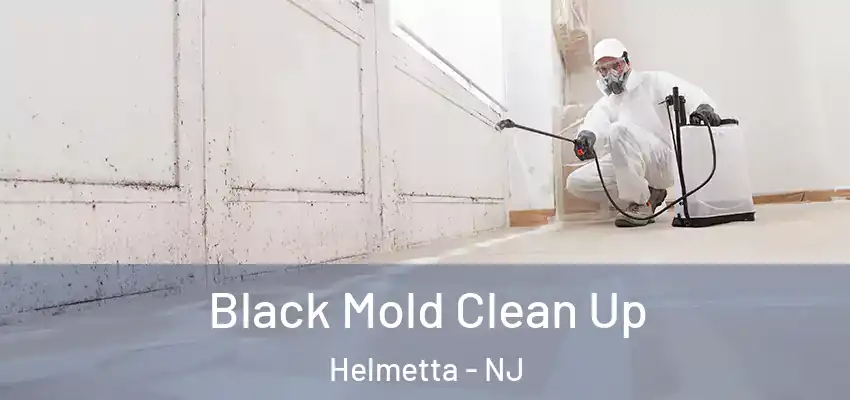  Black Mold Clean Up Helmetta - NJ
