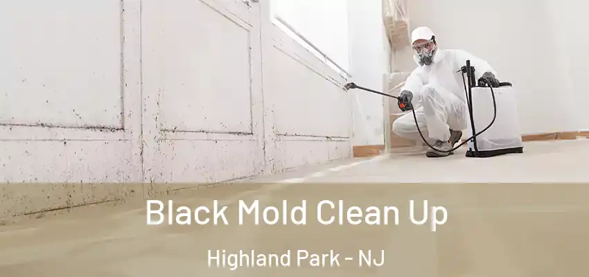 Black Mold Clean Up Highland Park - NJ