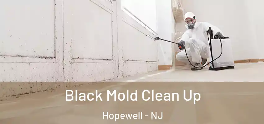 Black Mold Clean Up Hopewell - NJ