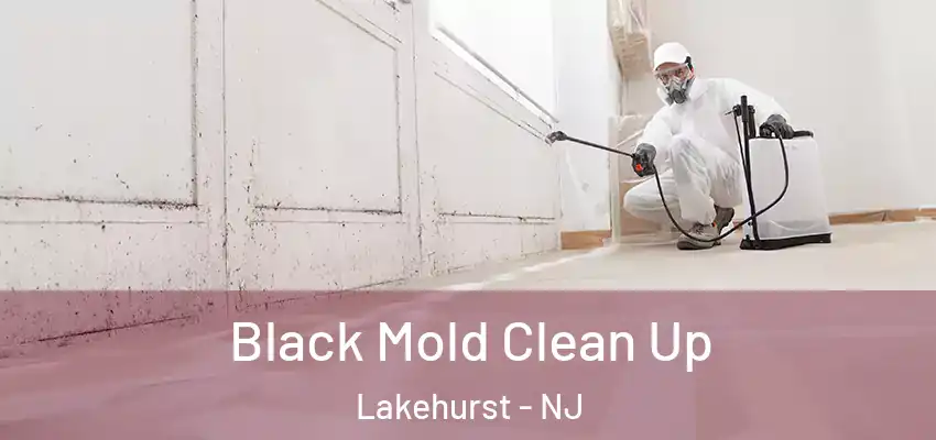  Black Mold Clean Up Lakehurst - NJ