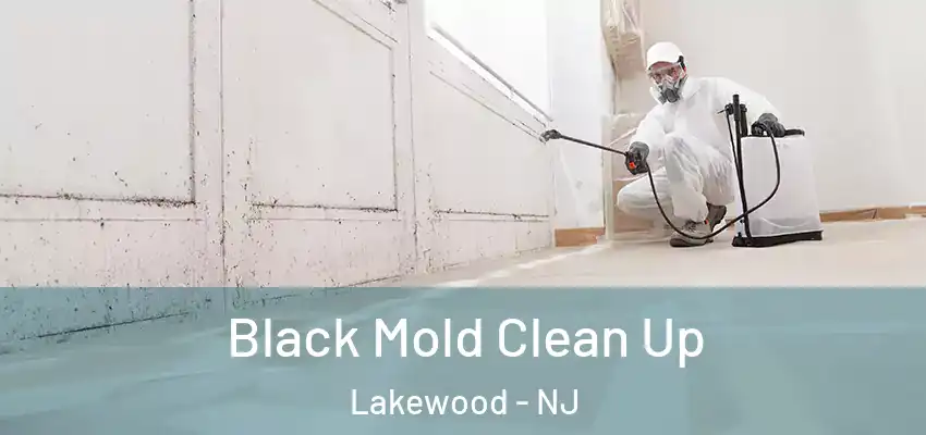  Black Mold Clean Up Lakewood - NJ
