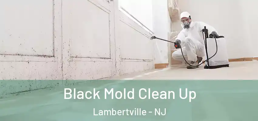 Black Mold Clean Up Lambertville - NJ