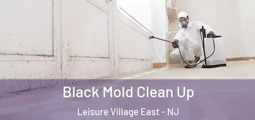  Black Mold Clean Up Leisure Village East - NJ