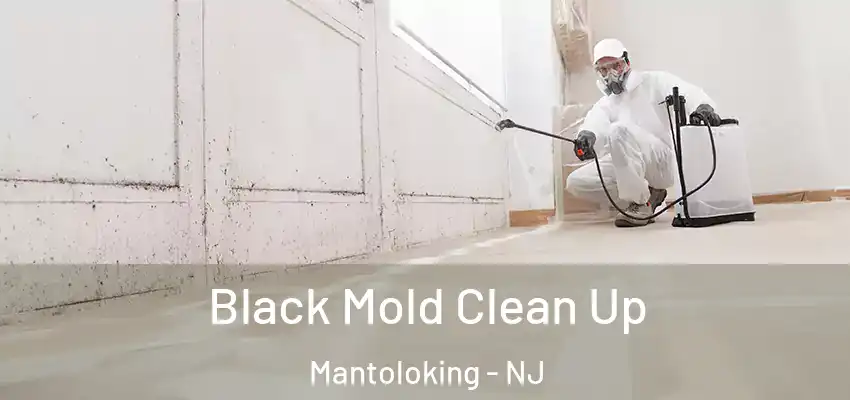  Black Mold Clean Up Mantoloking - NJ
