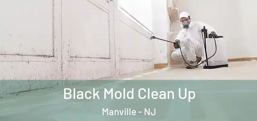 Black Mold Clean Up Manville - NJ