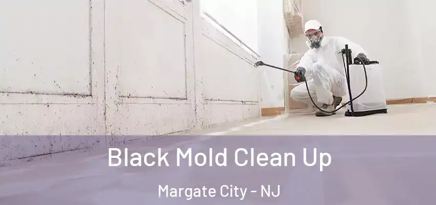 Black Mold Clean Up Margate City - NJ