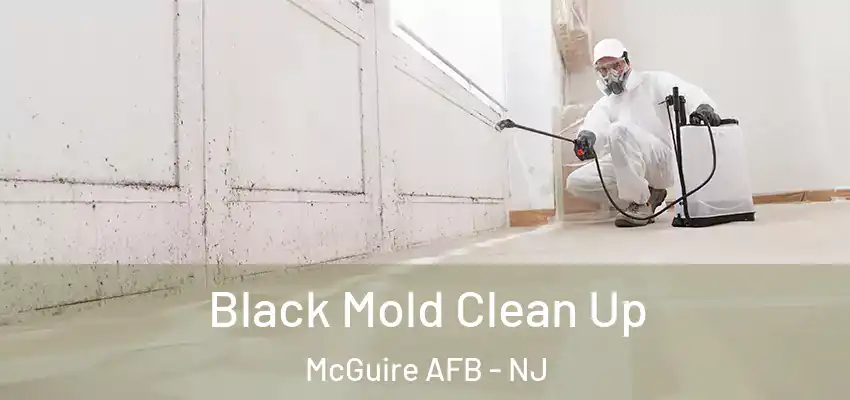 Black Mold Clean Up McGuire AFB - NJ