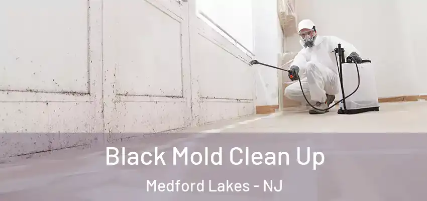 Black Mold Clean Up Medford Lakes - NJ