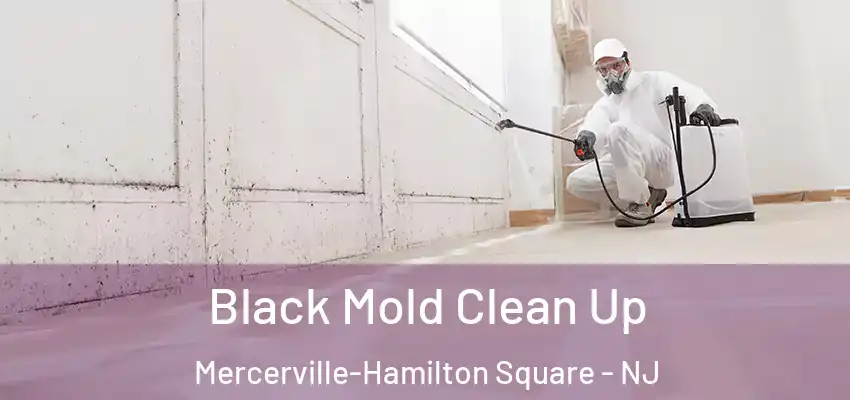  Black Mold Clean Up Mercerville-Hamilton Square - NJ