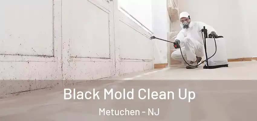  Black Mold Clean Up Metuchen - NJ