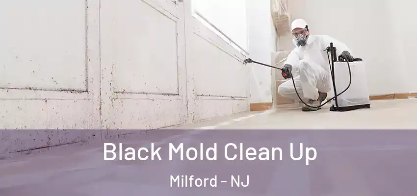 Black Mold Clean Up Milford - NJ