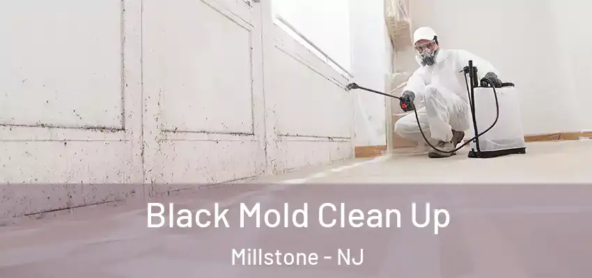  Black Mold Clean Up Millstone - NJ