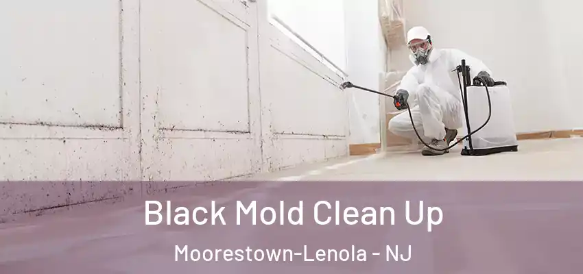 Black Mold Clean Up Moorestown-Lenola - NJ