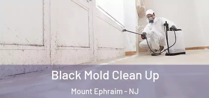  Black Mold Clean Up Mount Ephraim - NJ