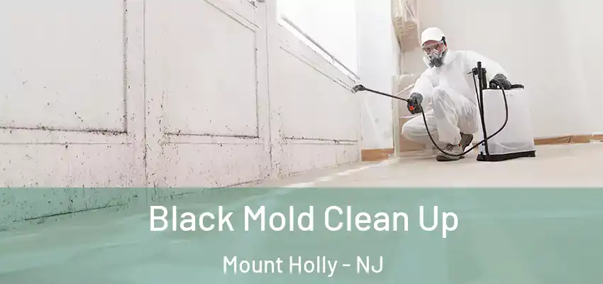  Black Mold Clean Up Mount Holly - NJ