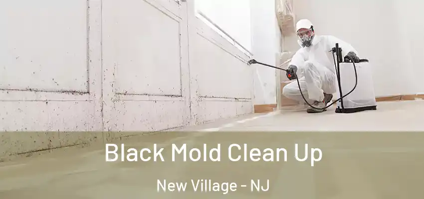 Black Mold Clean Up New Village - NJ