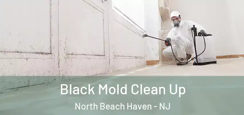  Black Mold Clean Up North Beach Haven - NJ