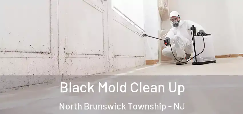 Black Mold Clean Up North Brunswick Township - NJ