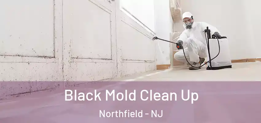  Black Mold Clean Up Northfield - NJ