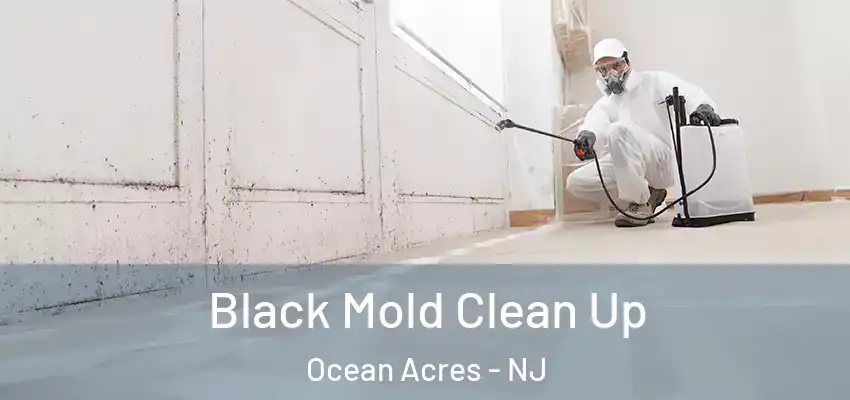  Black Mold Clean Up Ocean Acres - NJ