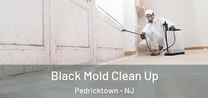  Black Mold Clean Up Pedricktown - NJ