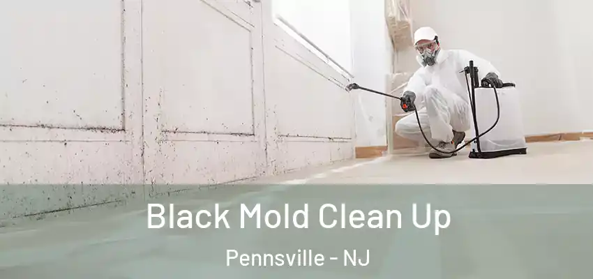 Black Mold Clean Up Pennsville - NJ