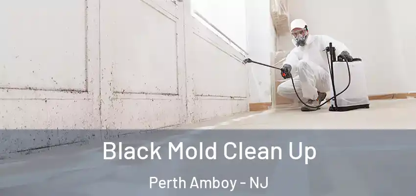  Black Mold Clean Up Perth Amboy - NJ