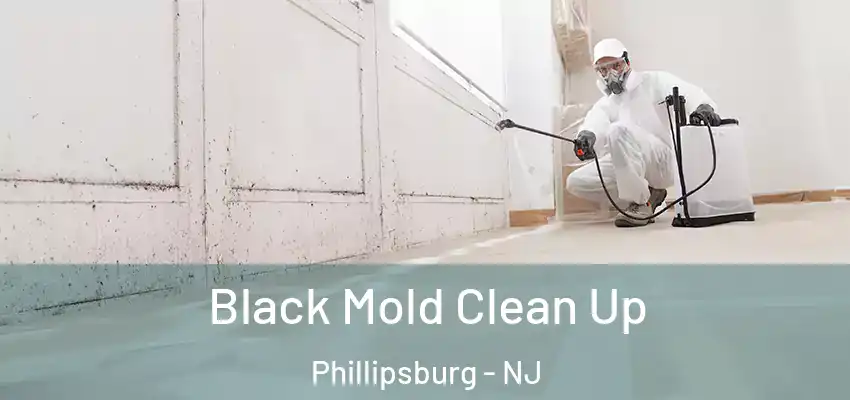 Black Mold Clean Up Phillipsburg - NJ