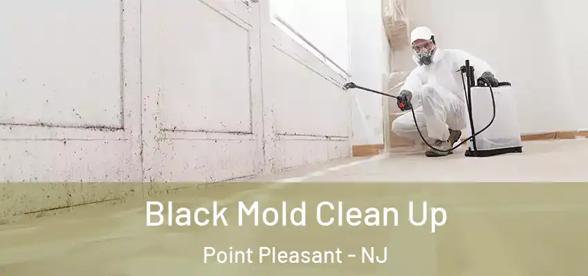  Black Mold Clean Up Point Pleasant - NJ