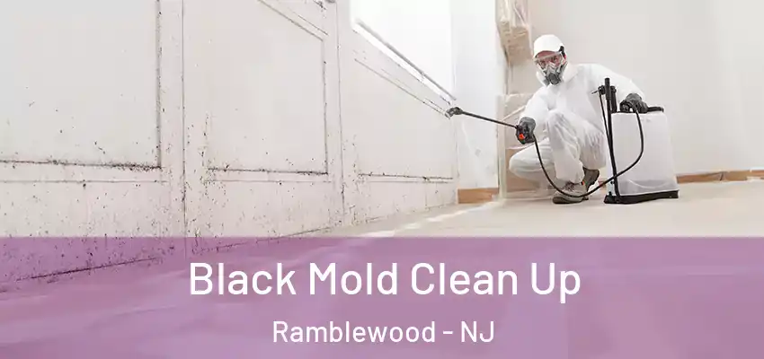 Black Mold Clean Up Ramblewood - NJ