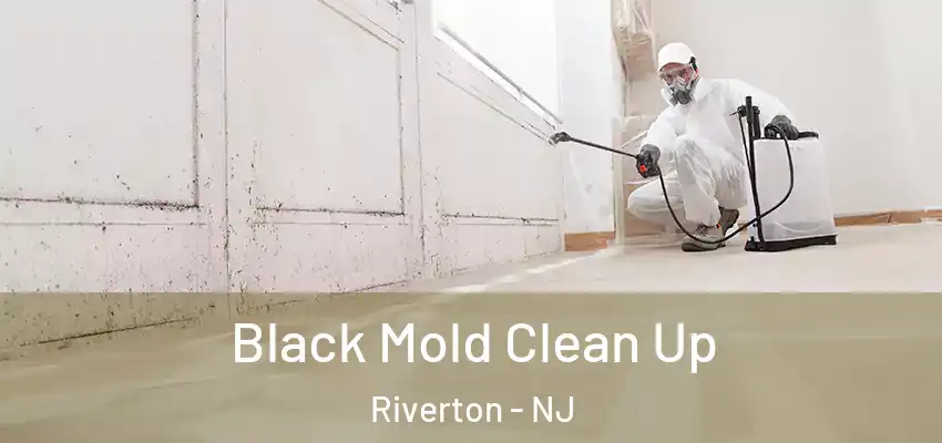  Black Mold Clean Up Riverton - NJ