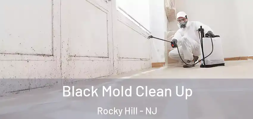 Black Mold Clean Up Rocky Hill - NJ