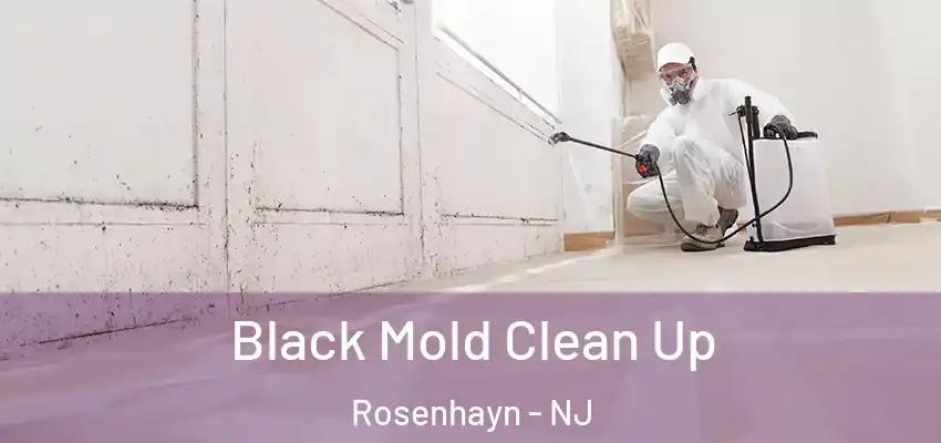 Black Mold Clean Up Rosenhayn - NJ