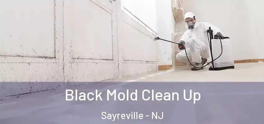 Black Mold Clean Up Sayreville - NJ