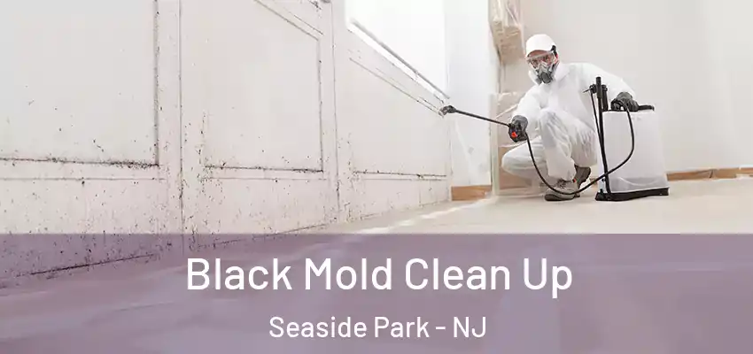  Black Mold Clean Up Seaside Park - NJ