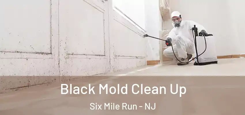 Black Mold Clean Up Six Mile Run - NJ