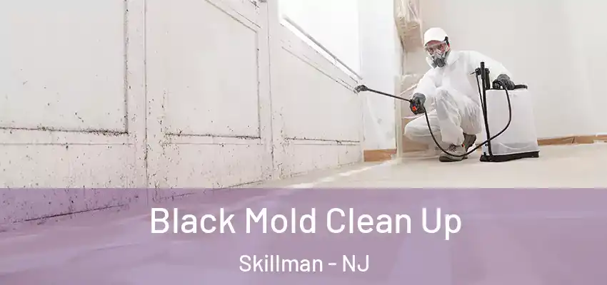  Black Mold Clean Up Skillman - NJ