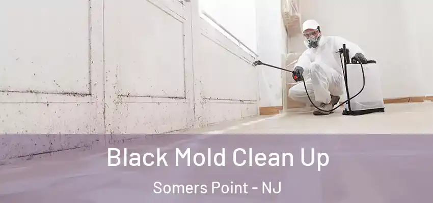  Black Mold Clean Up Somers Point - NJ