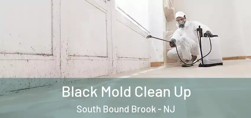  Black Mold Clean Up South Bound Brook - NJ