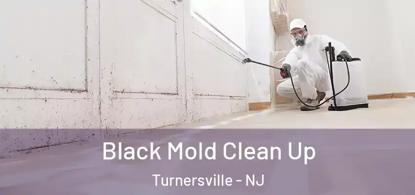 Black Mold Clean Up Turnersville - NJ