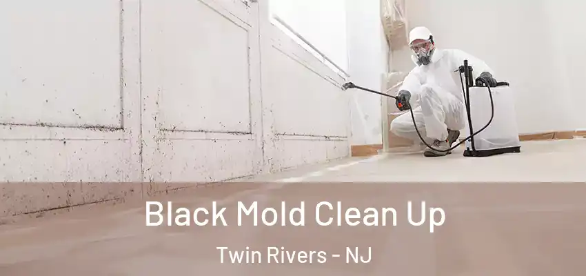 Black Mold Clean Up Twin Rivers - NJ