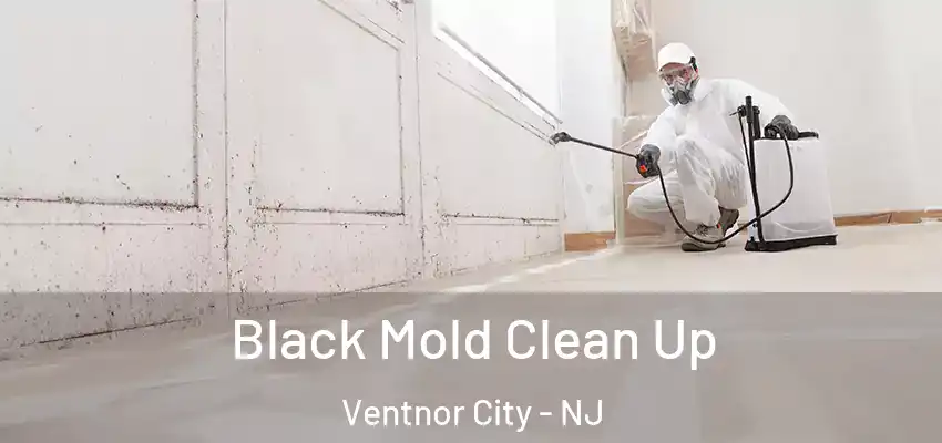 Black Mold Clean Up Ventnor City - NJ
