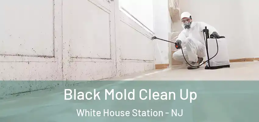 Black Mold Clean Up White House Station - NJ